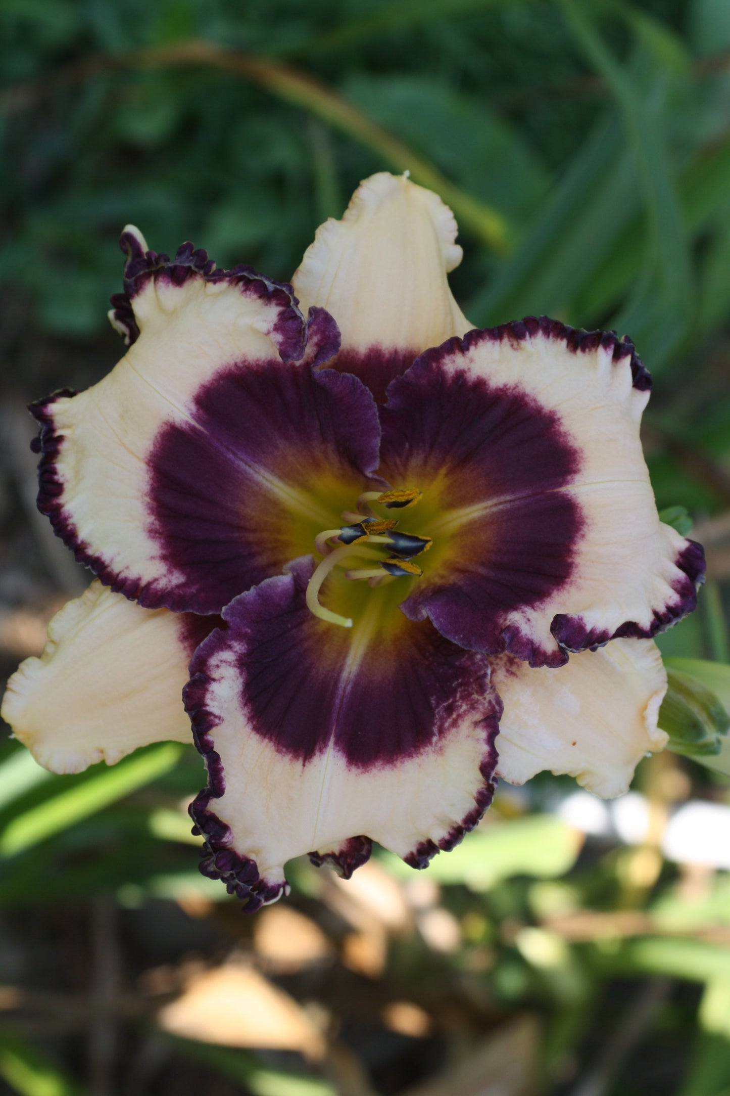 Captain Christopher Cory