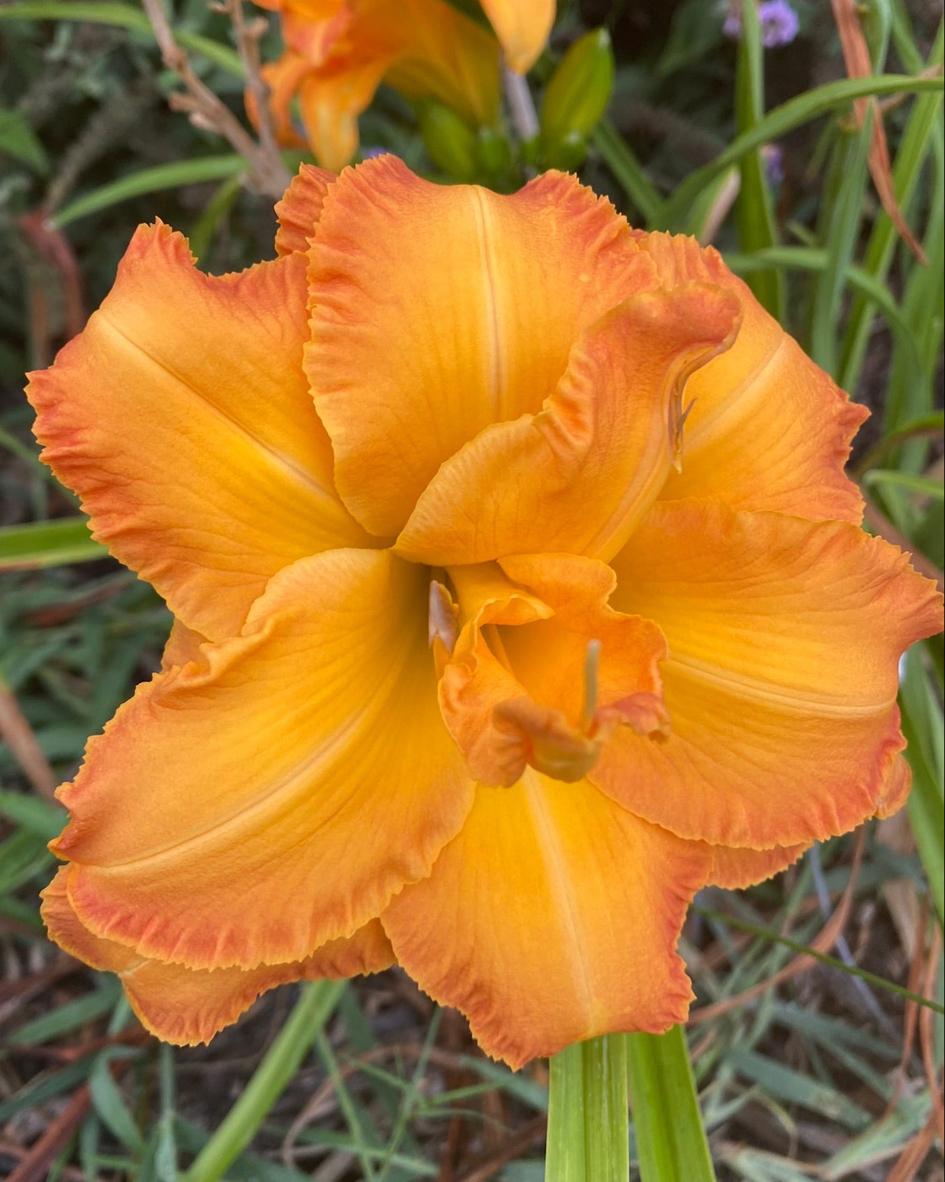 Mikaela Marie Reading